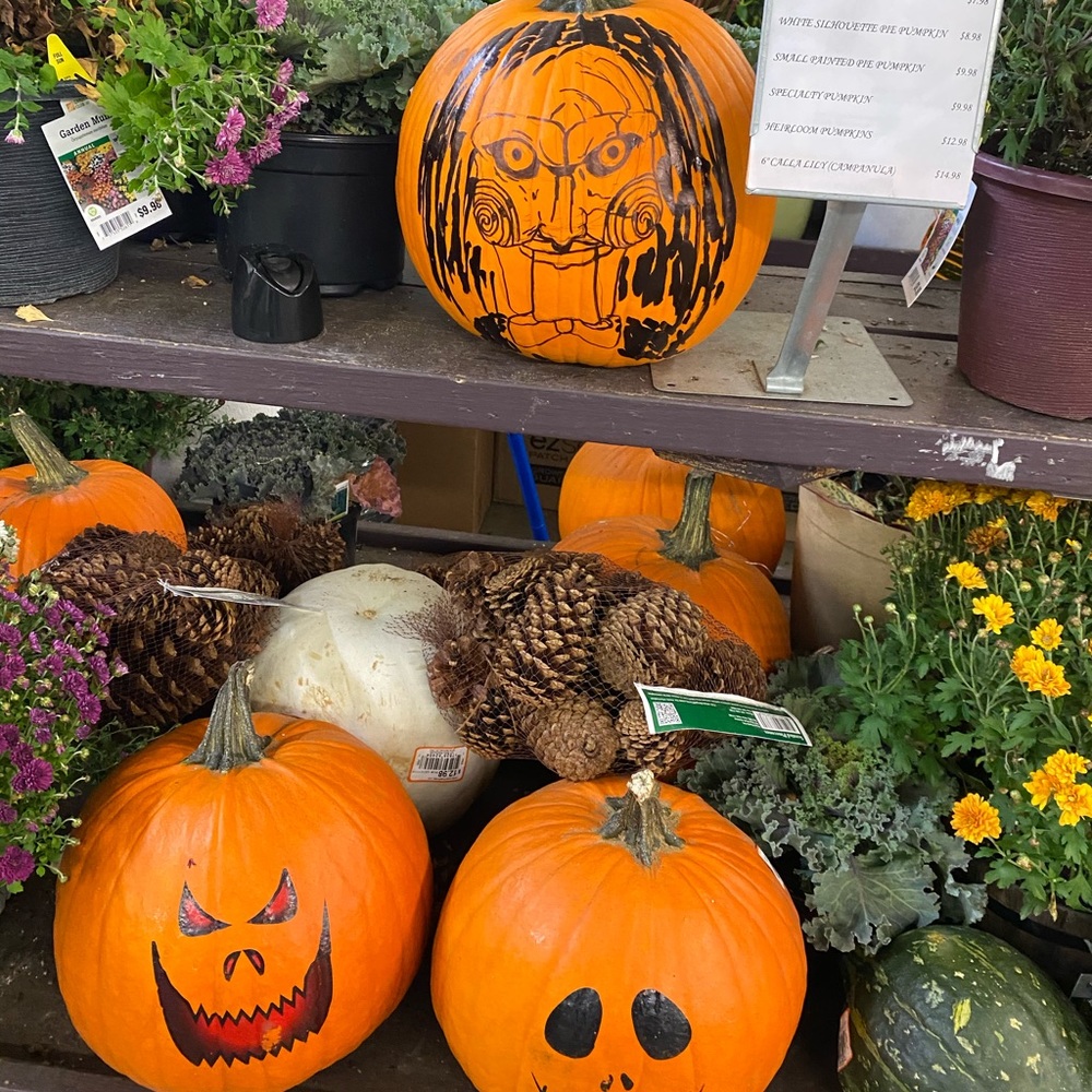 Meet your Posher, Lorna